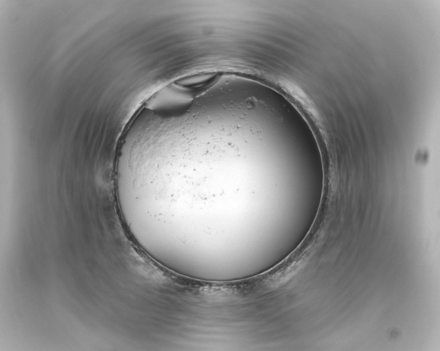 X0000093561089200710291014