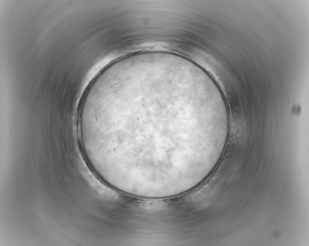 X0000093561090200710291014