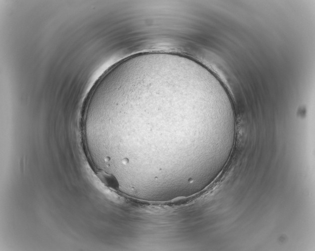 X0000093561091200710291014