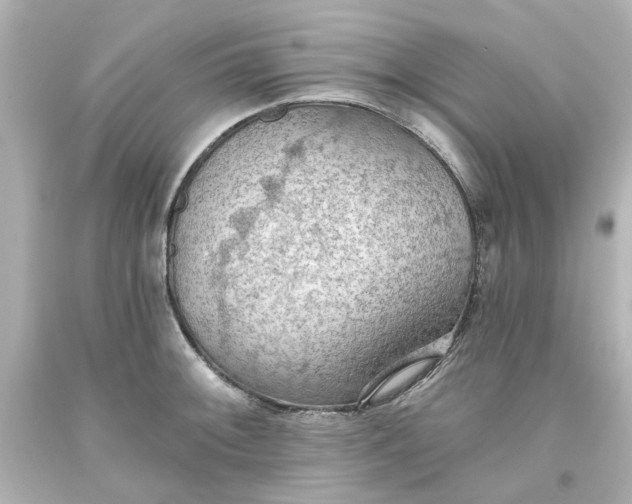 X0000093561092200710291014