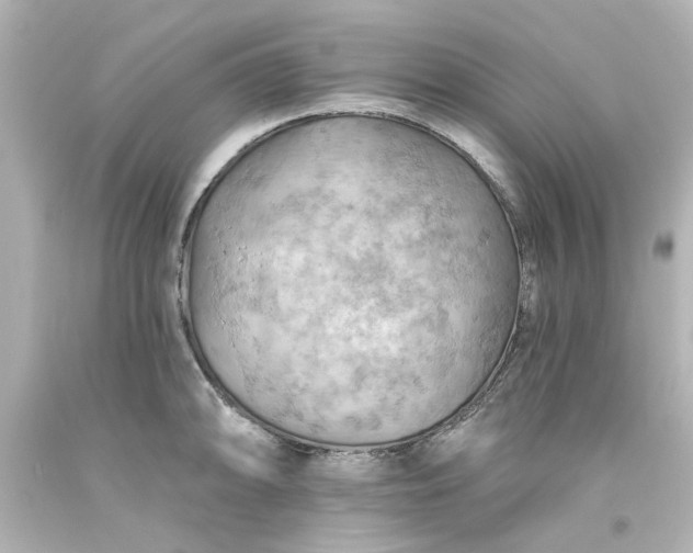 X0000093561094200710291014