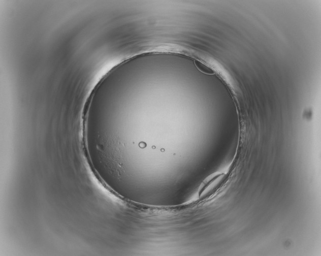 X0000093561095200710291014