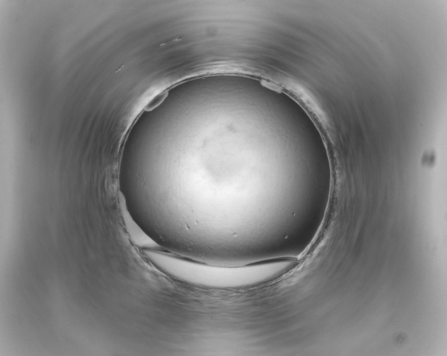 X0000093561097200710291014