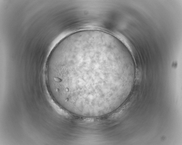 X0000093561098200710291014