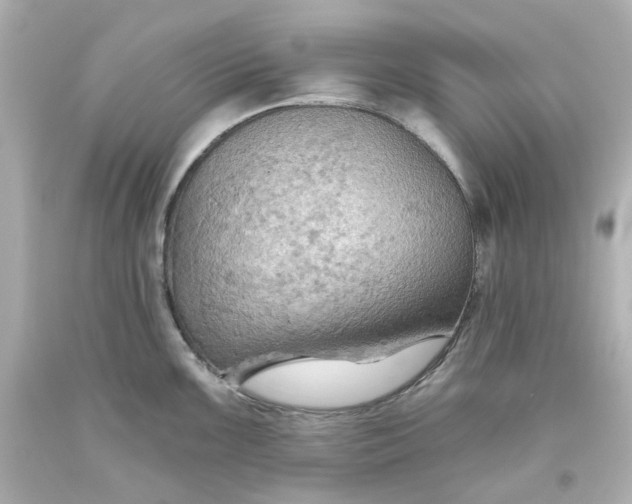 X0000093561099200710291014