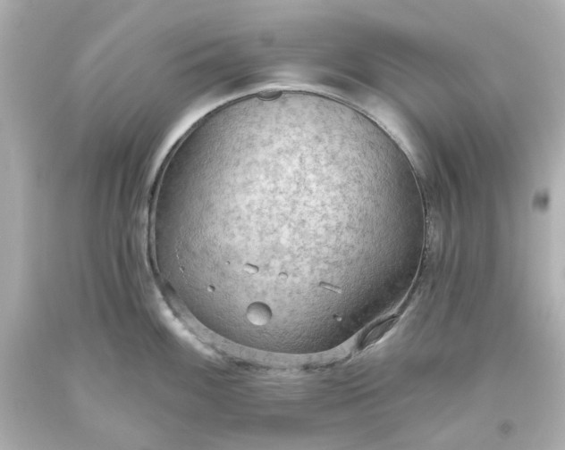 X0000093561100200710291014