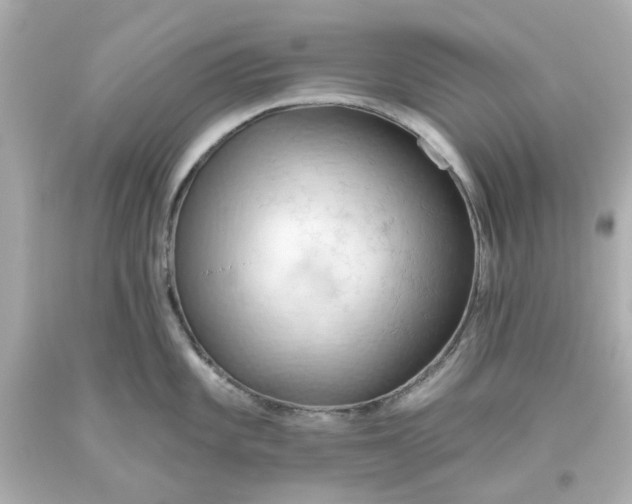 X0000093561101200710291014