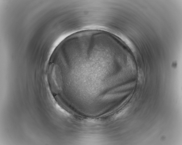 X0000093561102200710291014