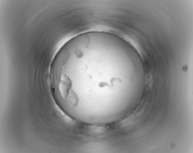 X0000093561103200710291014