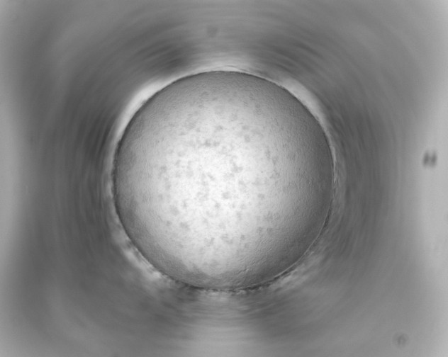 X0000093561104200710291014