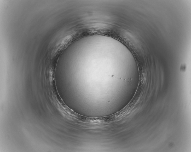 X0000093561108200710291013