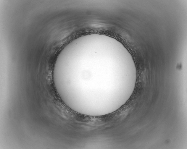 X0000093561109200710291013