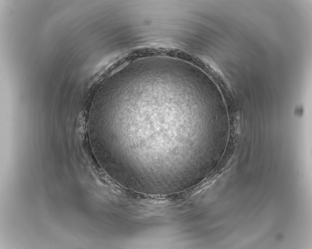 X0000093561110200710291013