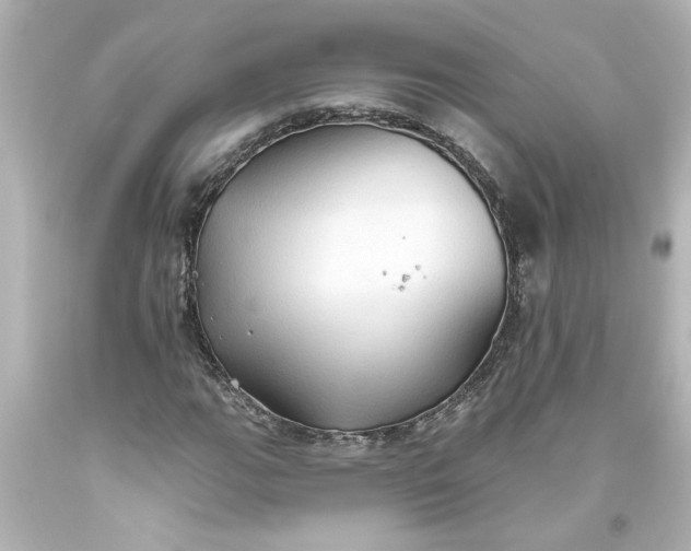 X0000093561111200710291013