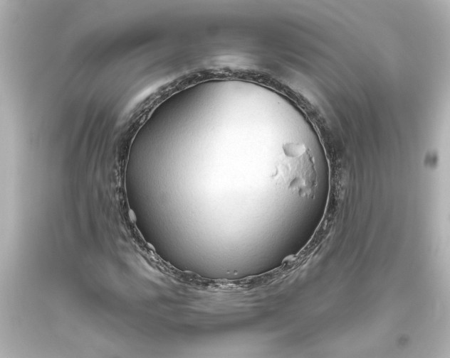 X0000093561112200710291013