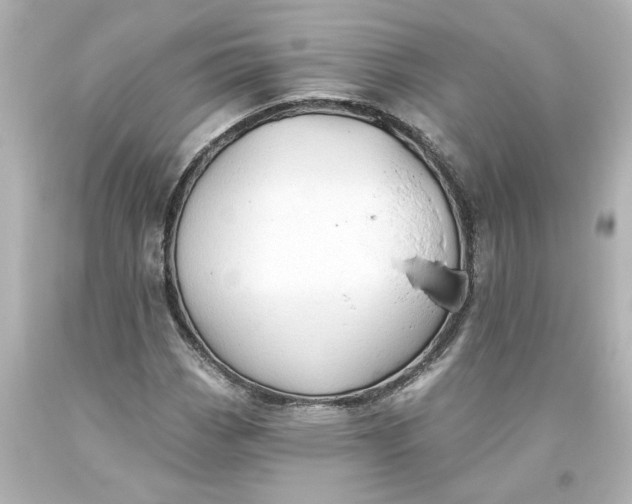 X0000093561113200710291013