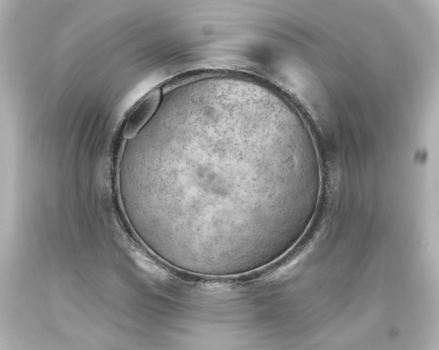 X0000093561114200710291013