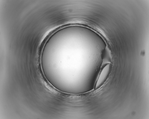 X0000093561116200710291013