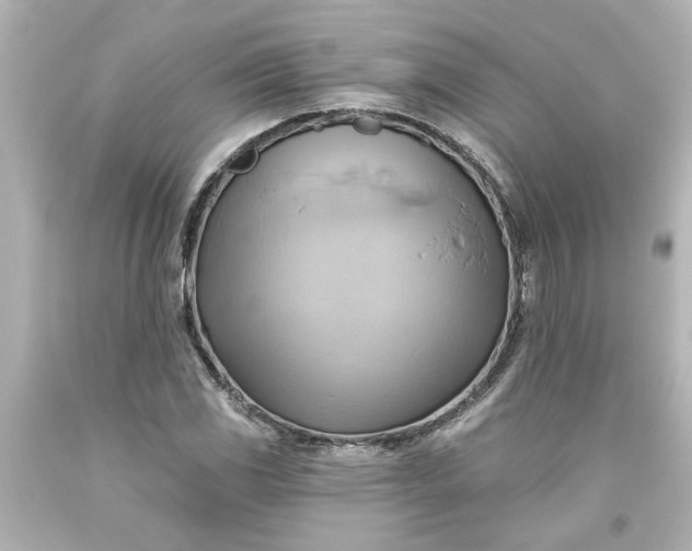 X0000093561117200710291013