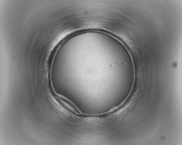 X0000093561118200710291013