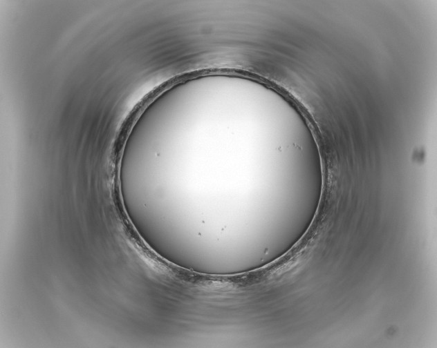 X0000093561119200710291013