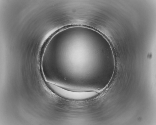 X0000093561120200710291013