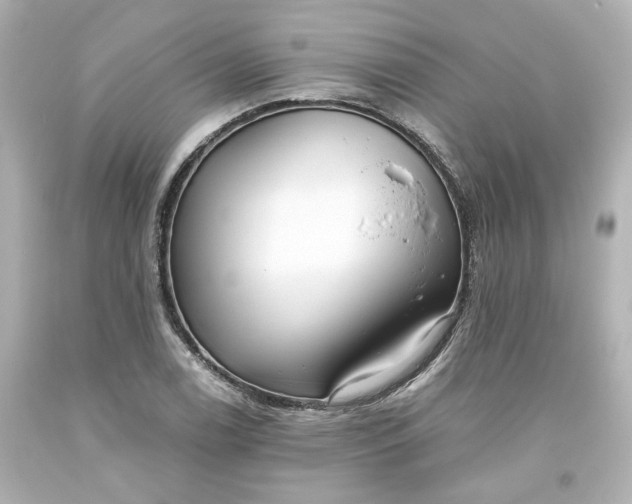 X0000093561122200710291013