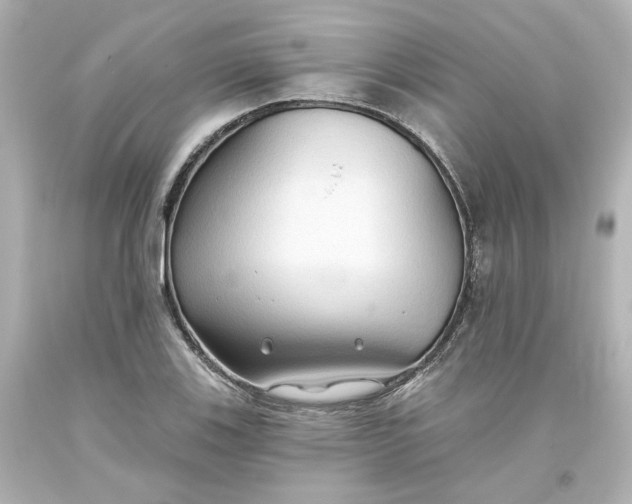 X0000093561123200710291013