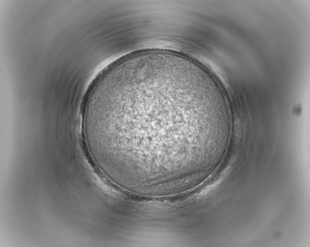 X0000093561125200710291013