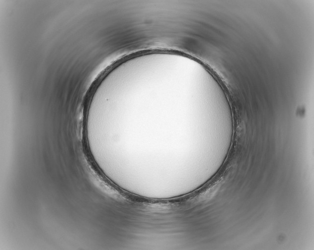 X0000093561126200710291013