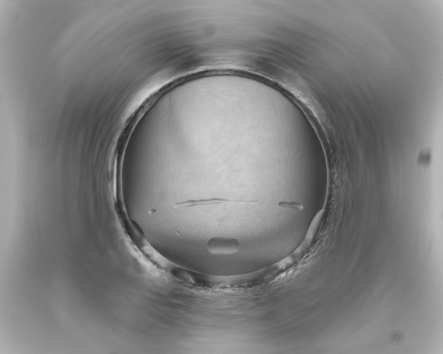 X0000093561127200710291013