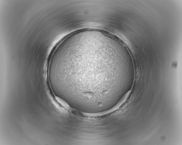 X0000093561128200710291013