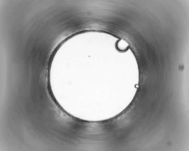 X0000093561130200710291013