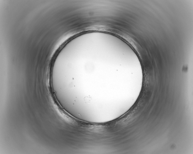 X0000093561131200710291013