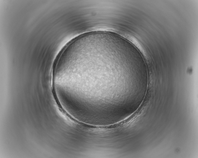 X0000093561132200710291013