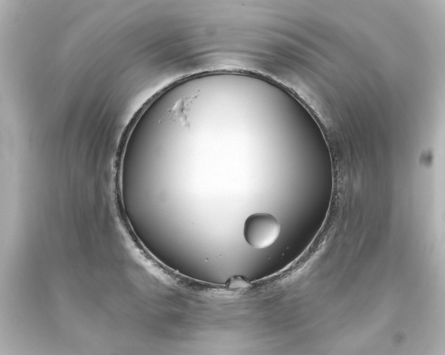 X0000093561134200710291013