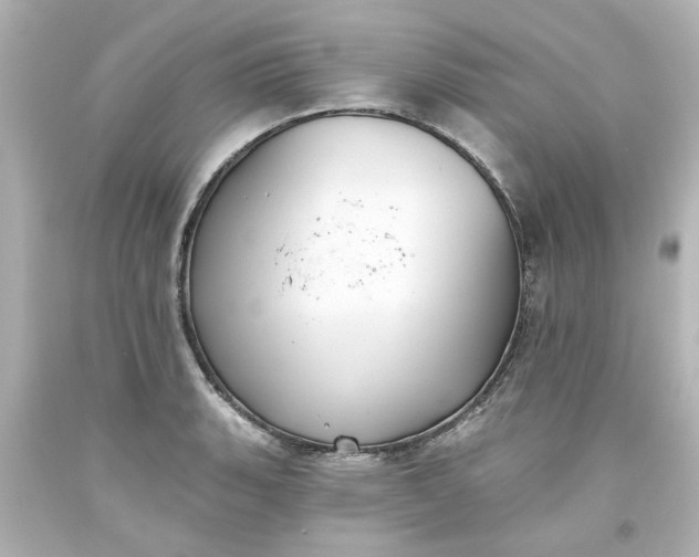 X0000093561135200710291013