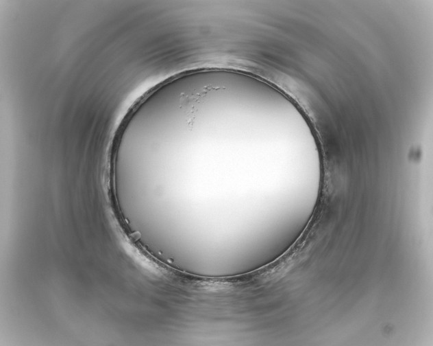 X0000093561136200710291013