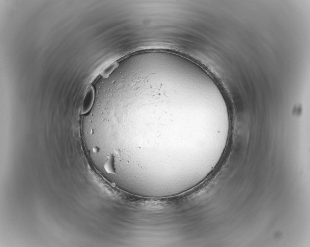 X0000093561137200710291013