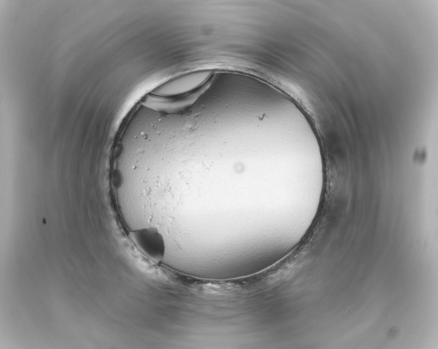 X0000093561138200710291013