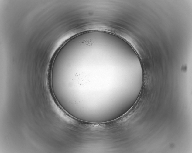 X0000093561139200710291013