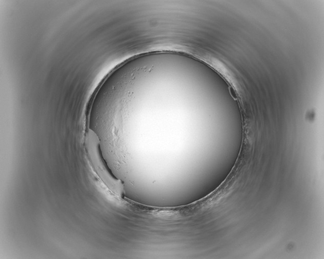 X0000093561140200710291013