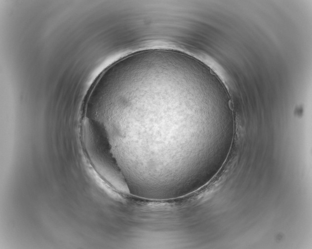 X0000093561142200710291013