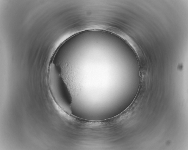 X0000093561143200710291013