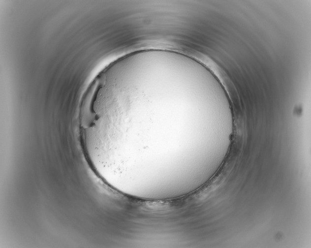 X0000093561147200710291014