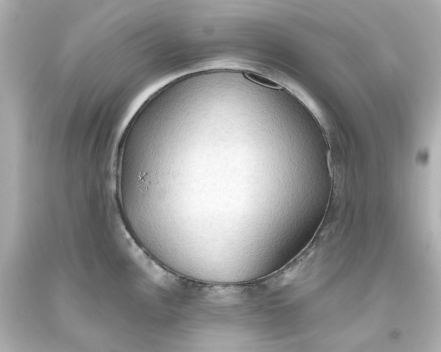 X0000093561148200710291014