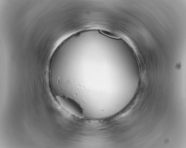 X0000093561149200710291014