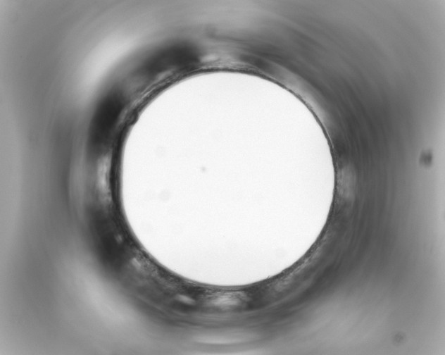 X0000093561150200710291014