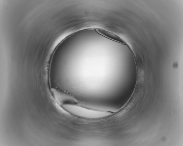 X0000093561151200710291014