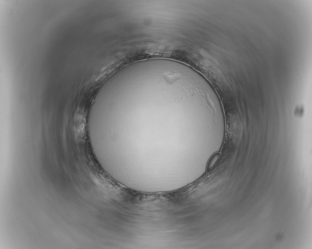 X0000093561154200710291013